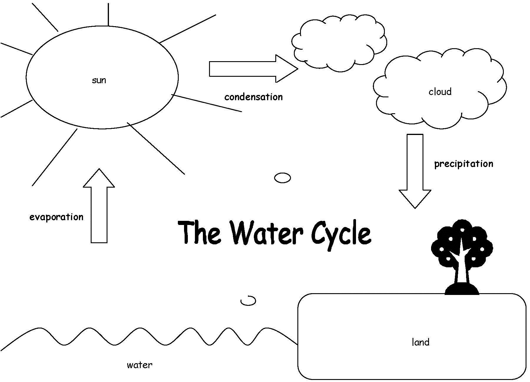 around worksheets the  heavy The falls   weather earth and water back world the clouds to Precipitation get